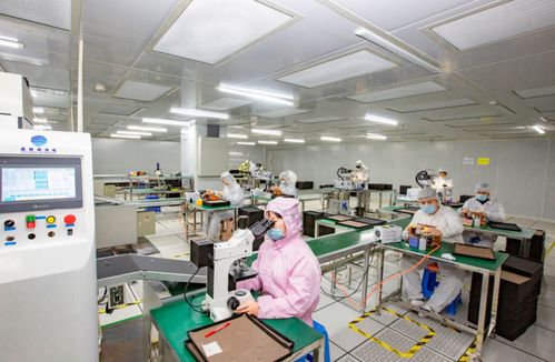 奮進在春光里 電子信息產業滿園春色，信息技術咨詢服務賦能向海圖強